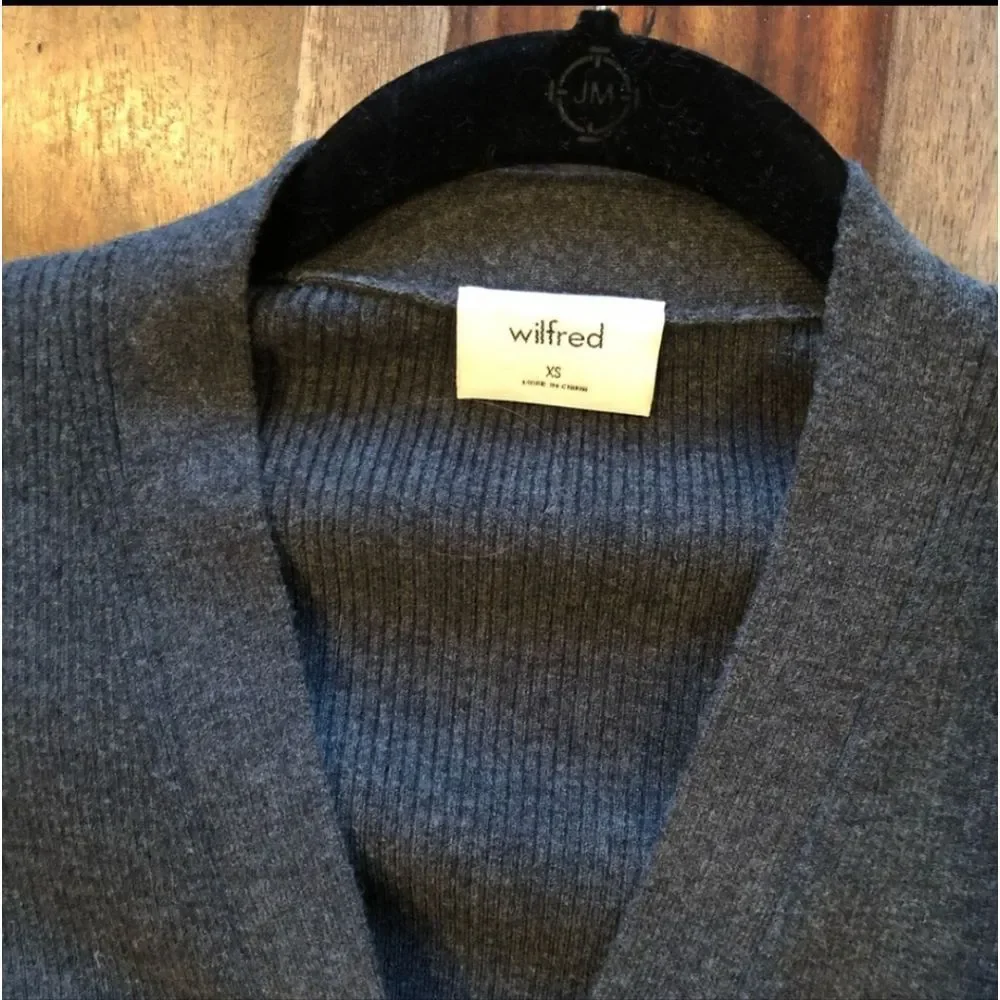 Wilfred Charcoal Button-Down Midi Dress - Picture 4 of 9